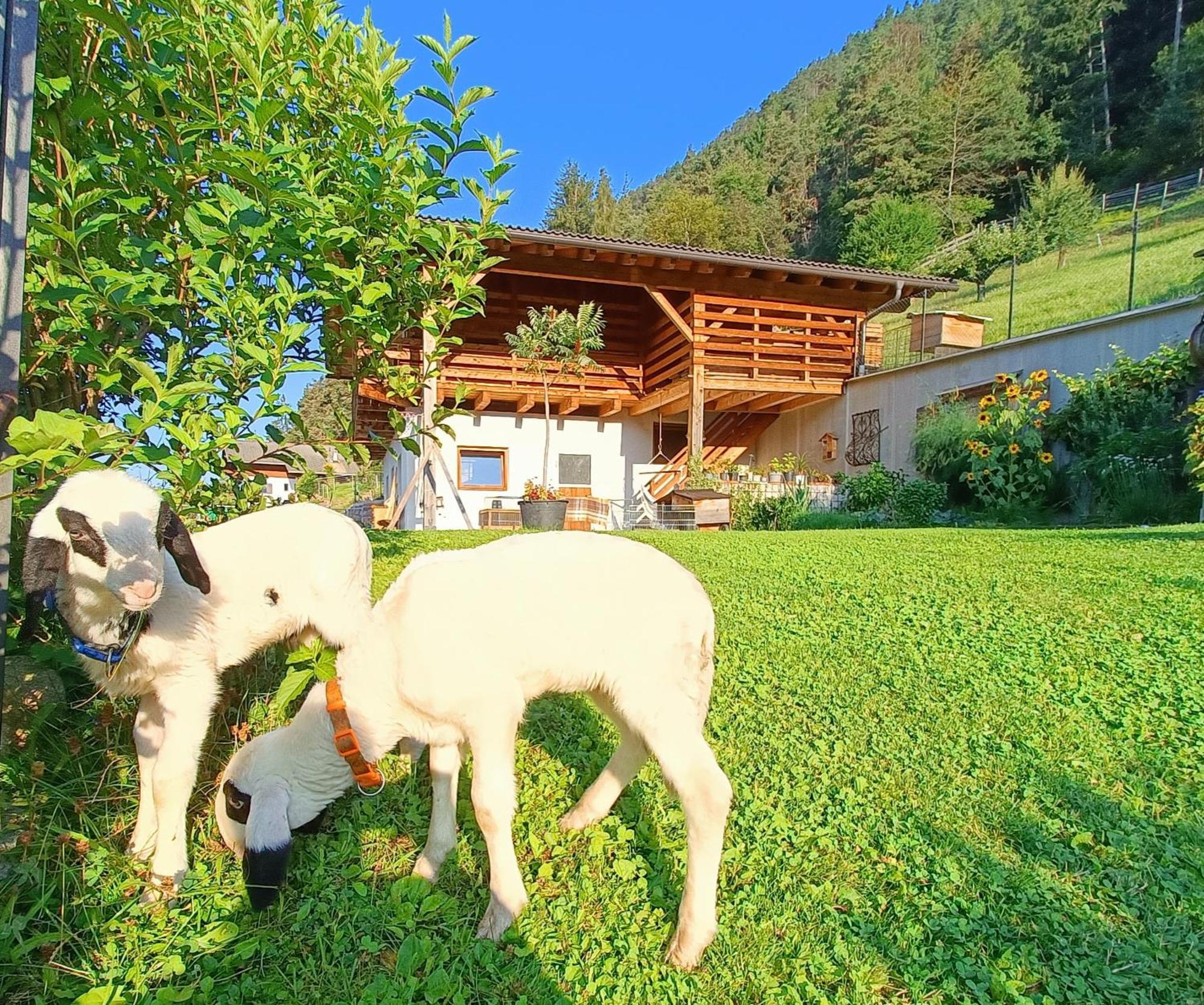 Appartamento Gosthof Kastelruth Esterno foto